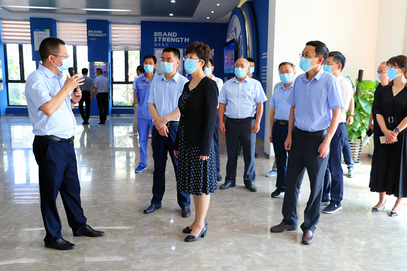 市委凌云書記到公司調研